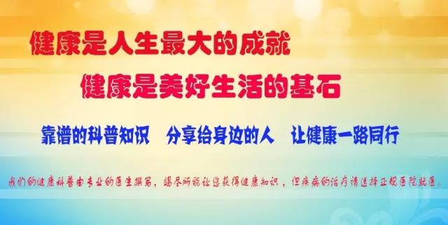 新澳门内部精准二肖;精选解释解析落实